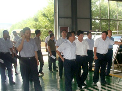 濰坊市副市長張望軍率領調(diào)研組一行來科靈參觀調(diào)研