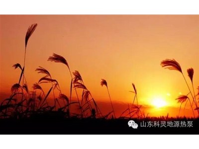 大愛初秋，醉美科靈